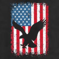 Patriotic Eagle Usa American Flag Adult Drive Performance Visor