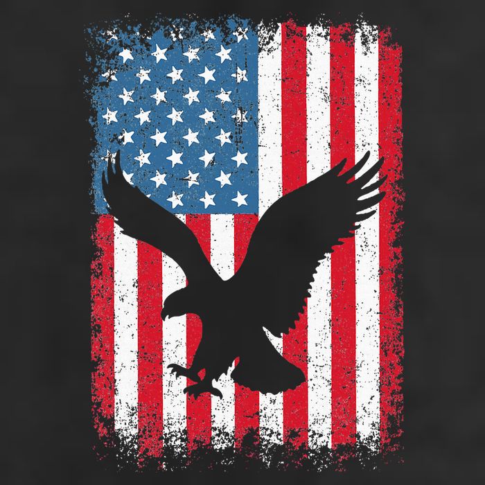 Patriotic Eagle Usa American Flag Adult Drive Performance Visor