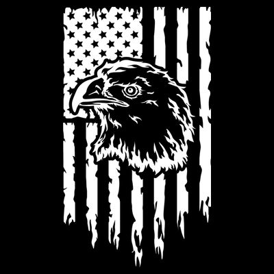 Patriotic Eagle With Us Flag  Usa T-Shirt