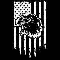 Patriotic Eagle With Us Flag  Usa Poster