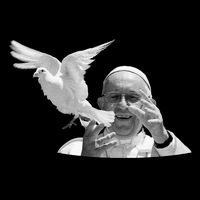 Pope Francis 1936-2025 Memorial Dove Kids T-Shirt