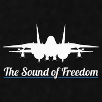 Patriotic F 14 Tomcat Fighter Jet Noise Sound Of Freedom Ladies PosiCharge Tri-Blend Wicking Tank
