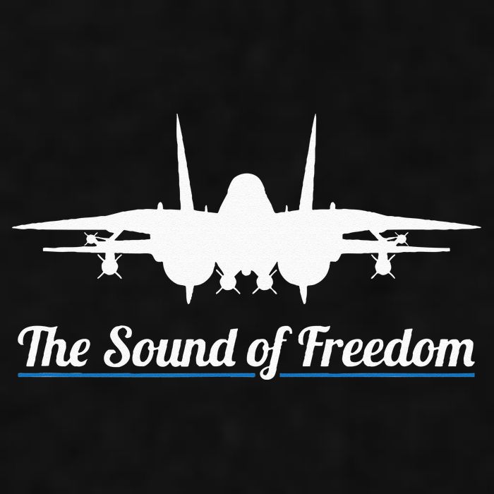 Patriotic F 14 Tomcat Fighter Jet Noise Sound Of Freedom Ladies PosiCharge Tri-Blend Wicking Tank