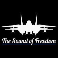 Patriotic F 14 Tomcat Fighter Jet Noise Sound Of Freedom Flatbill Hat