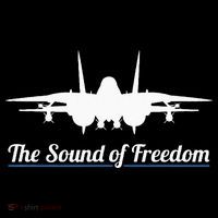 Patriotic F 14 Tomcat Fighter Jet Noise Sound Of Freedom Toddler T-Shirt