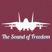 Patriotic F 14 Tomcat Fighter Jet Noise Sound Of Freedom 16oz Travel Tumbler