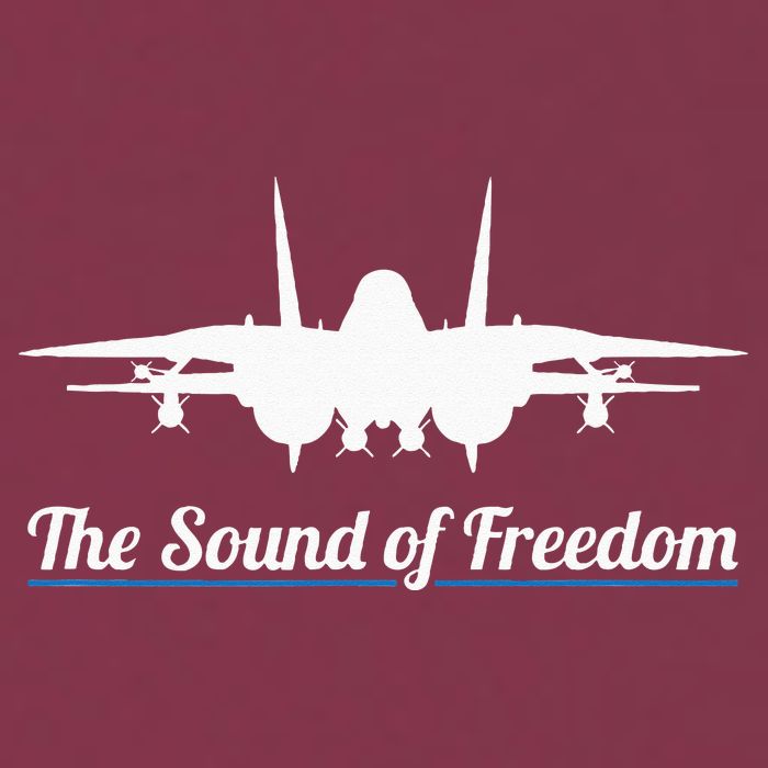 Patriotic F 14 Tomcat Fighter Jet Noise Sound Of Freedom 16oz Travel Tumbler
