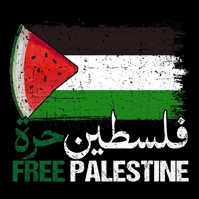 Palestine Free Arabic Free Gaza Watermelon Palestine Flag Premium T-Shirt