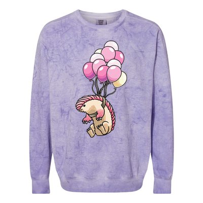 Pink Fairy Armadillo Pichiciego Funny Armadillo Colorblast Crewneck Sweatshirt