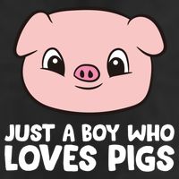 Pig Farmer Boy Just A Boy Who Loves Pigs Cool Gift 7 Panel Mesh Trucker Snapback Hat