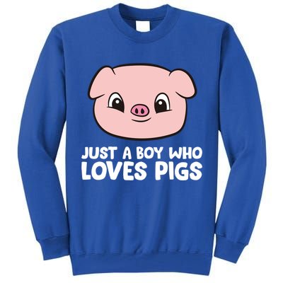 Pig Farmer Boy Just A Boy Who Loves Pigs Cool Gift Tall Sweatshirt