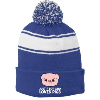 Pig Farmer Boy Just A Boy Who Loves Pigs Cool Gift Stripe Pom Pom Beanie