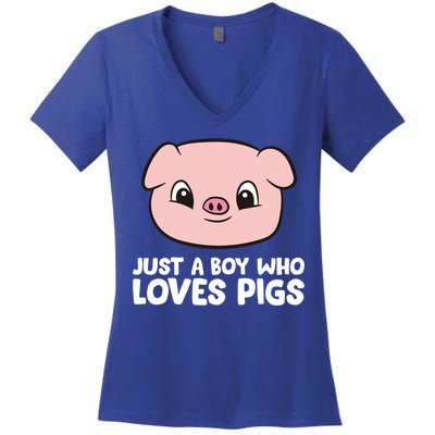 Pig Farmer Boy Just A Boy Who Loves Pigs Cool Gift Women's V-Neck T-Shirt