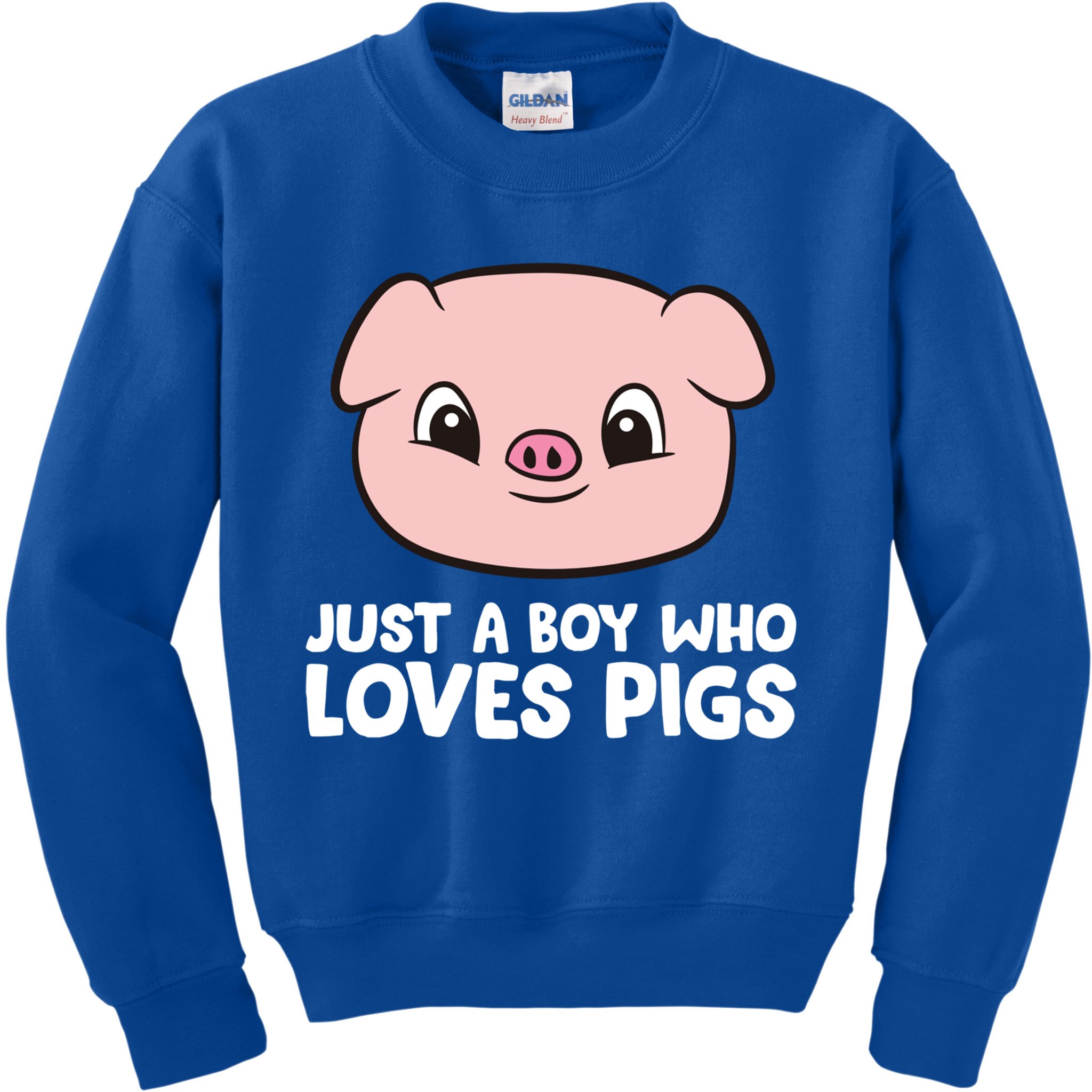 Pig Farmer Boy Just A Boy Who Loves Pigs Cool Gift Kids Sweatshirt