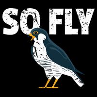 Peregrine Falcon Bird Birdwatcher Vintage Kids T-Shirt