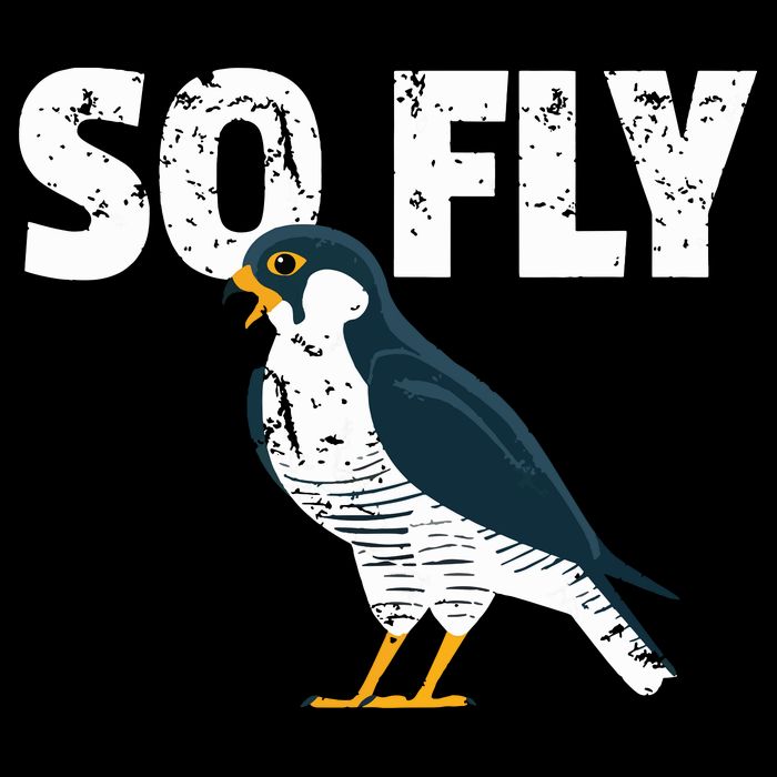 Peregrine Falcon Bird Birdwatcher Vintage Kids T-Shirt
