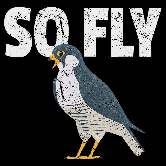 Peregrine Falcon Bird, Birdwatcher Vintage Tall T-Shirt