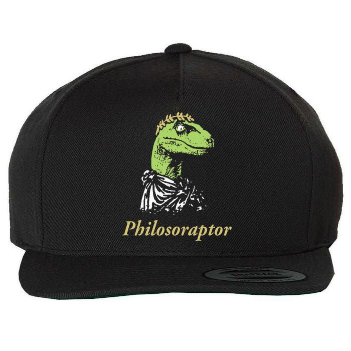 Philosoraptor Funny Cute Gift Wool Snapback Cap