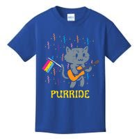 Pansexual Flag Cat Purride Guitar Pan Pride Month Lgbtq Ally Gift Kids T-Shirt