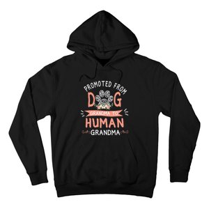 Promoted From Dog Grandma To Human Grandma Mother's Day Hoodie