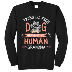 Promoted From Dog Grandma To Human Grandma Mother's Day Sweatshirt