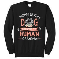 Promoted From Dog Grandma To Human Grandma Mother's Day Sweatshirt