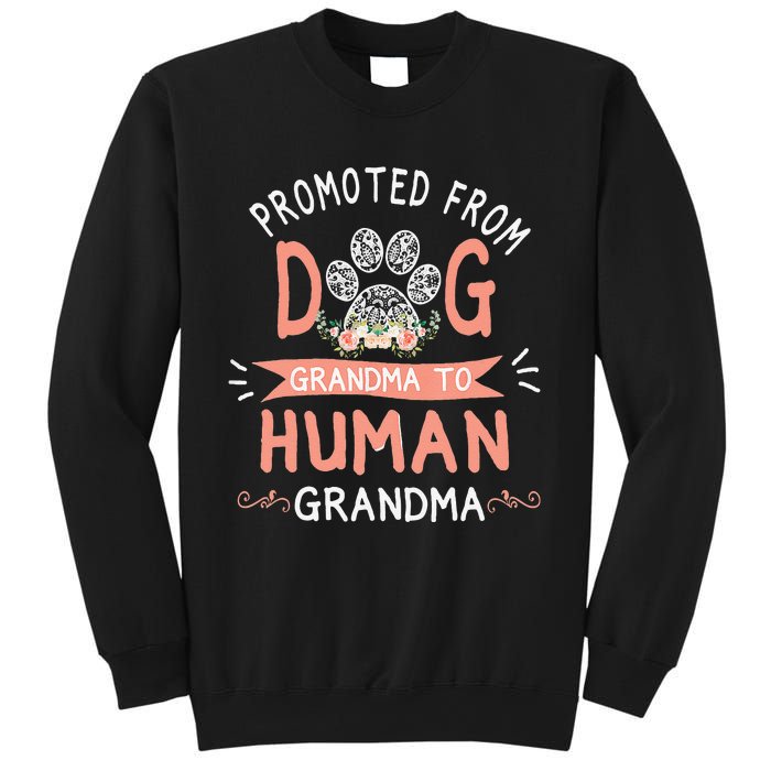 Promoted From Dog Grandma To Human Grandma Mother's Day Sweatshirt