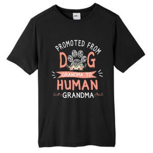 Promoted From Dog Grandma To Human Grandma Mother's Day Tall Fusion ChromaSoft Performance T-Shirt