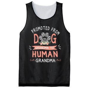 Promoted From Dog Grandma To Human Grandma Mother's Day Mesh Reversible Basketball Jersey Tank