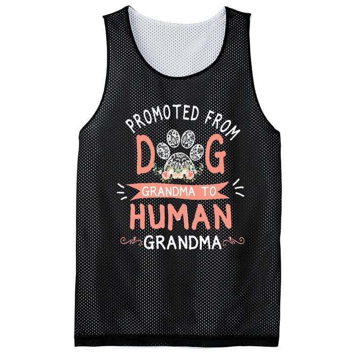 Promoted From Dog Grandma To Human Grandma Mother's Day Mesh Reversible Basketball Jersey Tank