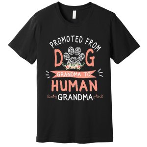 Promoted From Dog Grandma To Human Grandma Mother's Day Premium T-Shirt