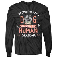 Promoted From Dog Grandma To Human Grandma Mother's Day Tie-Dye Long Sleeve Shirt