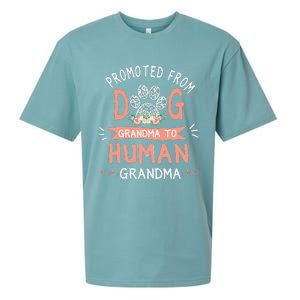 Promoted From Dog Grandma To Human Grandma Mother's Day Sueded Cloud Jersey T-Shirt