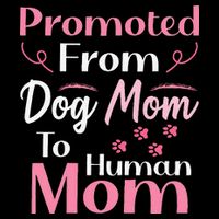 Promoted From Dog Mom To Human Mom MotherS Day Mug