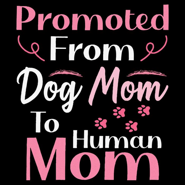 Promoted From Dog Mom To Human Mom MotherS Day Mug