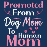 Promoted From Dog Mom To Human Mom MotherS Day Cooling Performance Crew T-Shirt