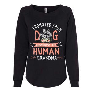 Promoted From Dog Grandma To Human Grandma Mothers Day Womens California Wash Sweatshirt