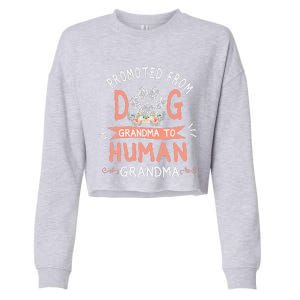 Promoted From Dog Grandma To Human Grandma Mothers Day Cropped Pullover Crew