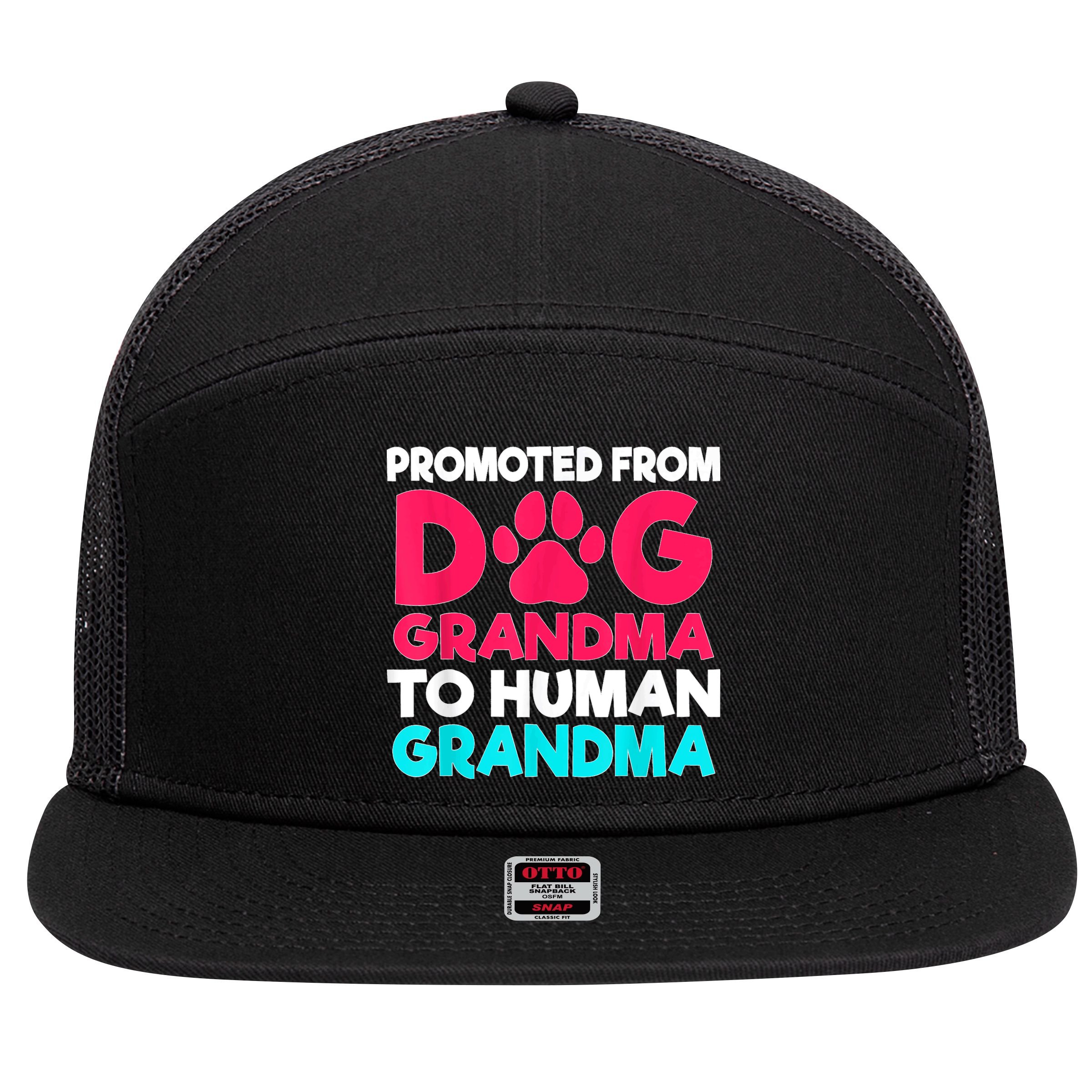Promoted From Dog Grandma To Human Grandma Family Mother 7 Panel Mesh Trucker Snapback Hat