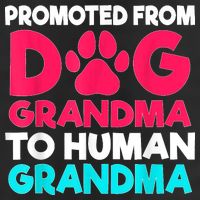 Promoted From Dog Grandma To Human Grandma Family Mother 7 Panel Mesh Trucker Snapback Hat