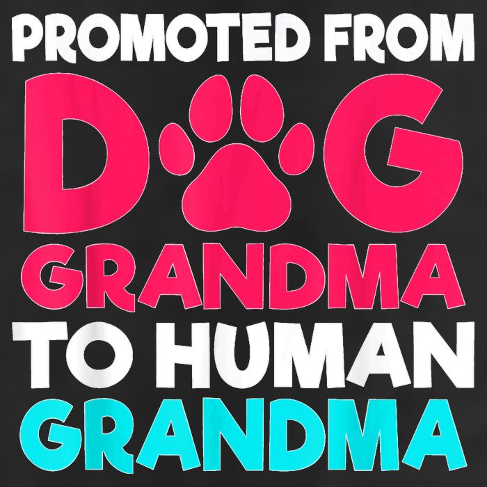 Promoted From Dog Grandma To Human Grandma Family Mother 7 Panel Mesh Trucker Snapback Hat