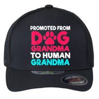 Promoted From Dog Grandma To Human Grandma Family Mother Flexfit Unipanel Trucker Cap