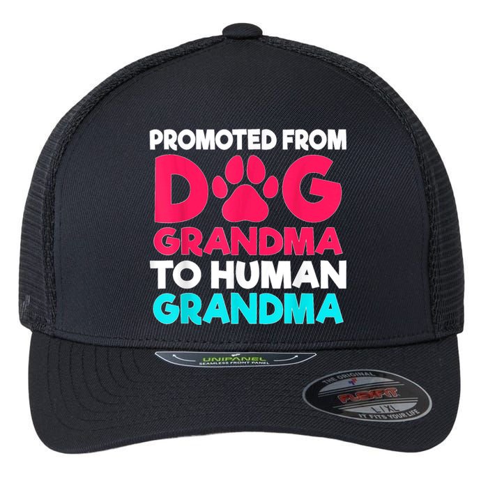 Promoted From Dog Grandma To Human Grandma Family Mother Flexfit Unipanel Trucker Cap