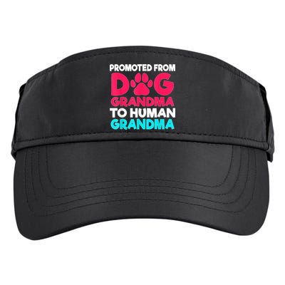 Promoted From Dog Grandma To Human Grandma Family Mother Adult Drive Performance Visor
