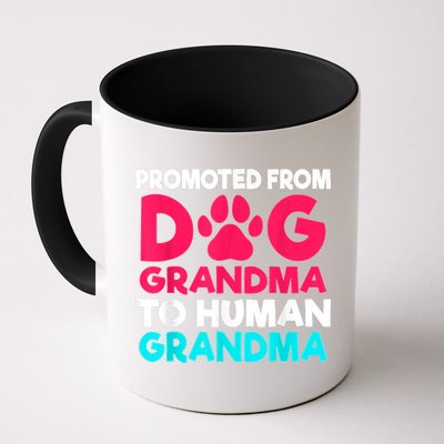 Promoted From Dog Grandma To Human Grandma Family Mother Mug