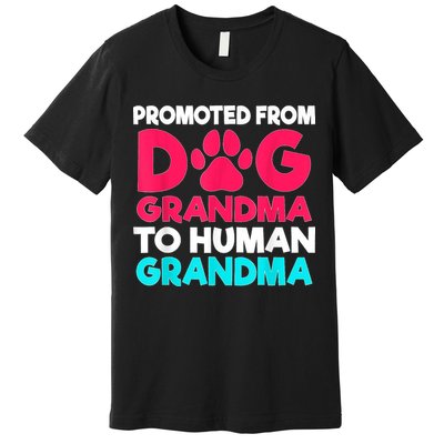 Promoted From Dog Grandma To Human Grandma Family Mother Premium T-Shirt