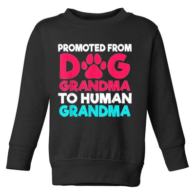 Promoted From Dog Grandma To Human Grandma Family Mother Toddler Sweatshirt