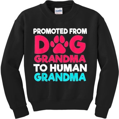 Promoted From Dog Grandma To Human Grandma Family Mother Kids Sweatshirt