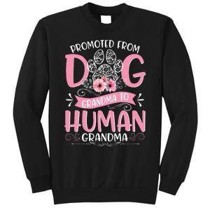 Promoted From Dog Grandma To Human Mother's Day Sweatshirt