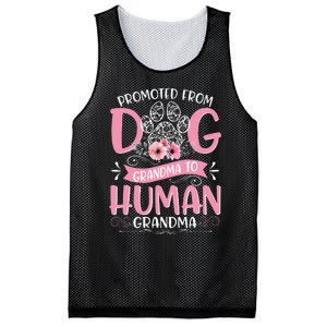 Promoted From Dog Grandma To Human Mother's Day Mesh Reversible Basketball Jersey Tank